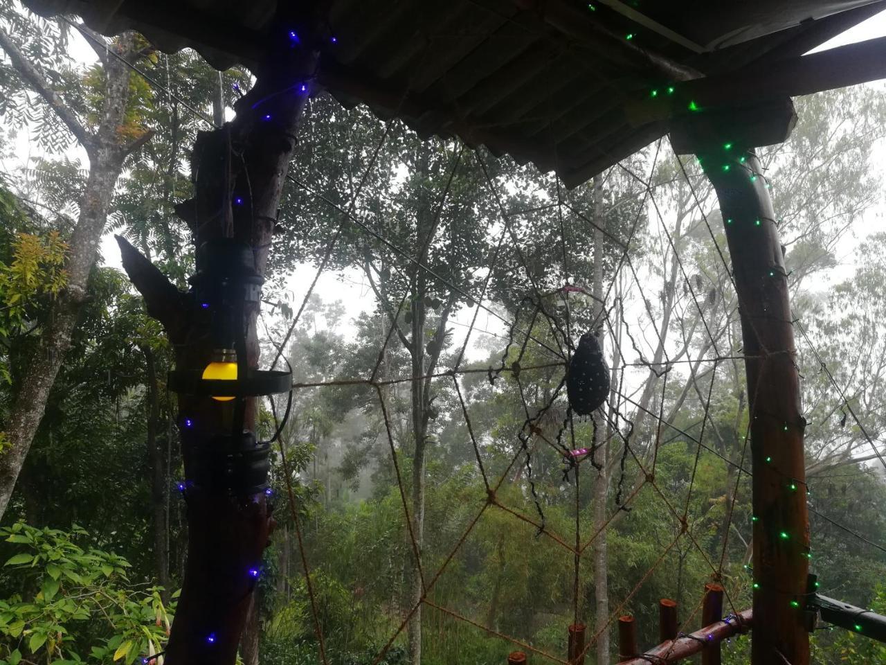 Homestay 