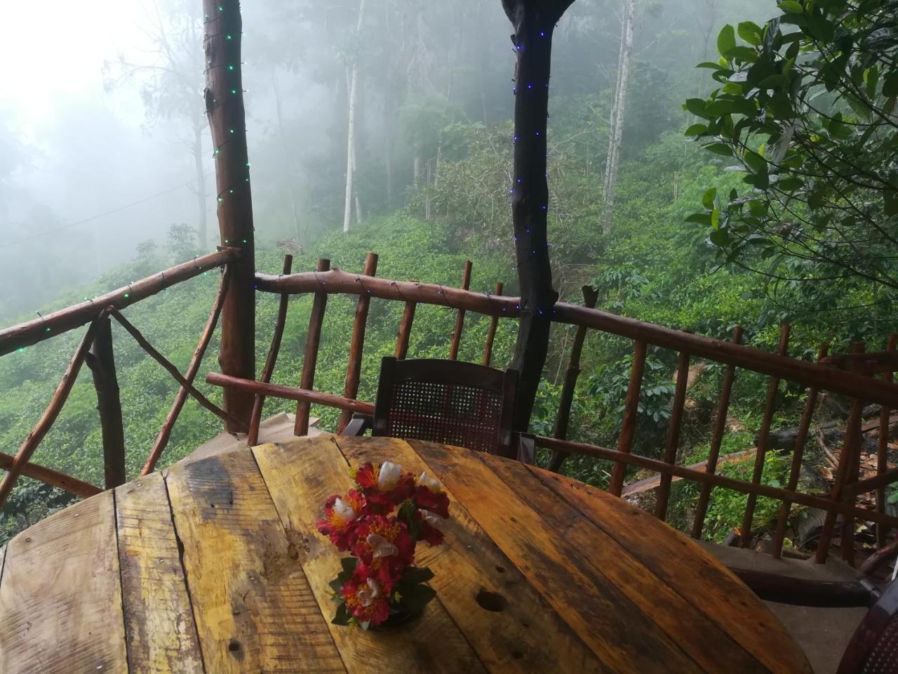 Homestay 