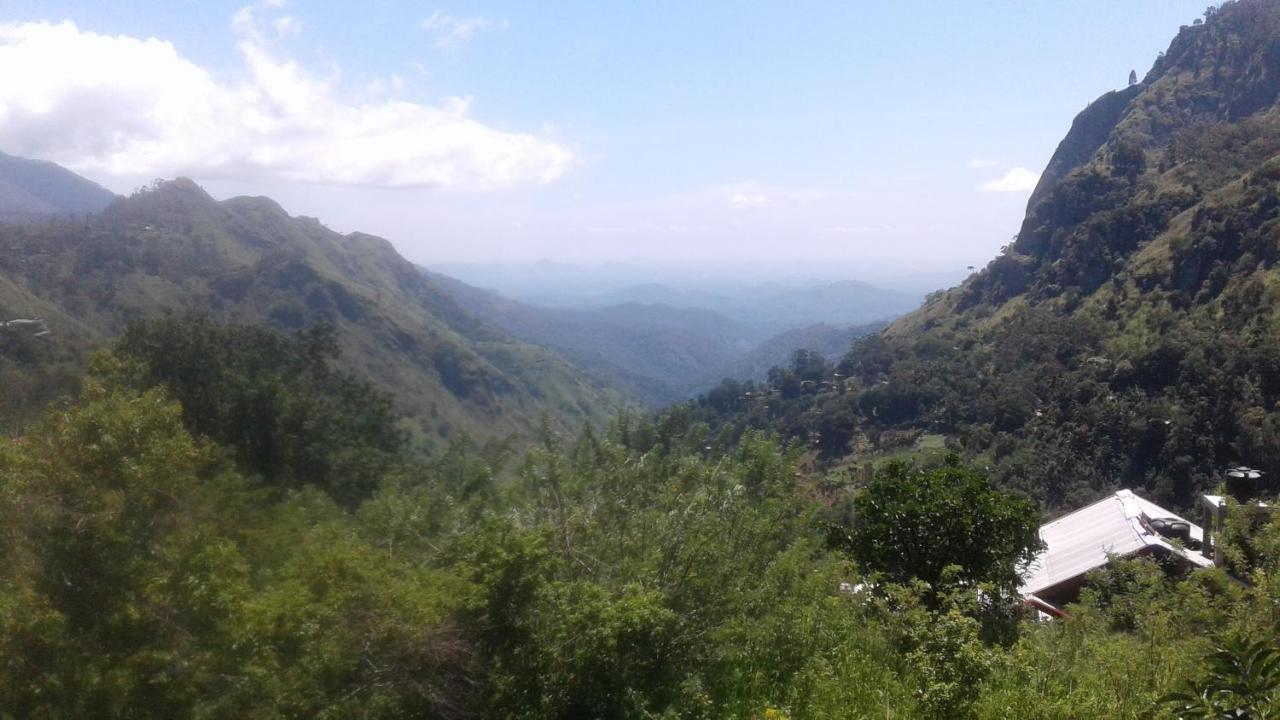 Homestay 