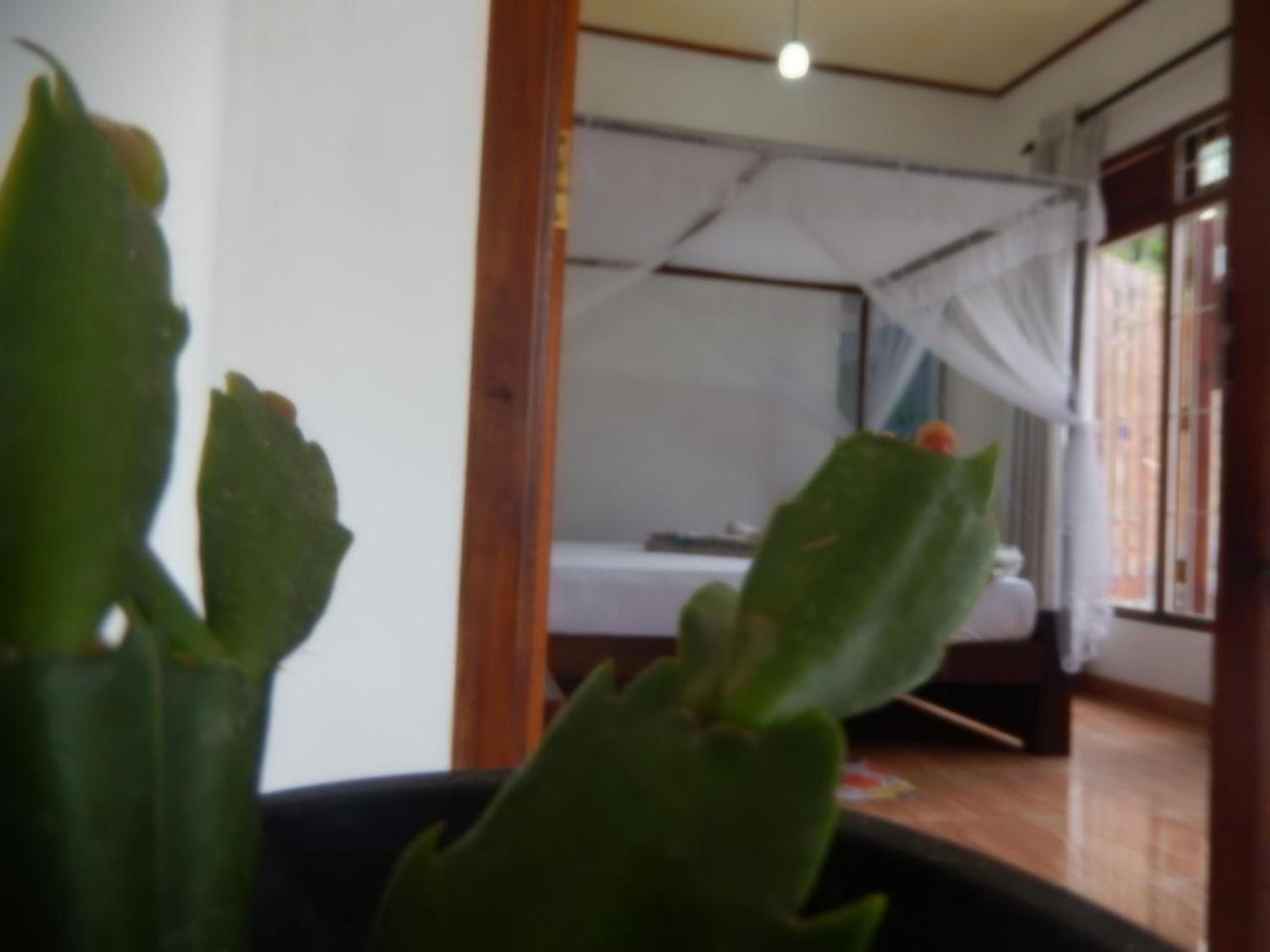 Village Nest Homestay *