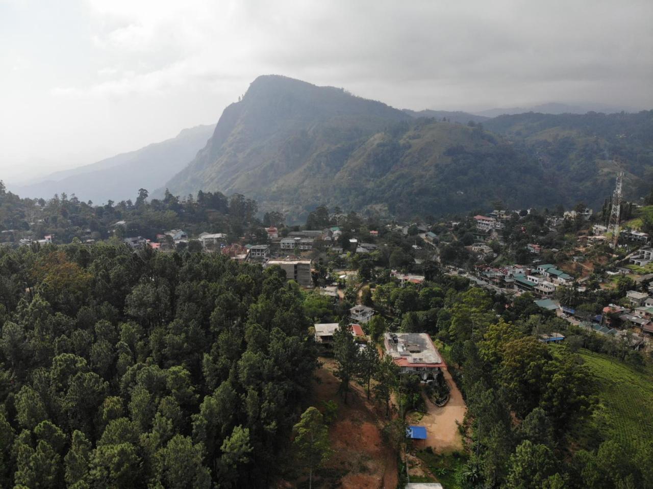 Homestay Forest Paddy