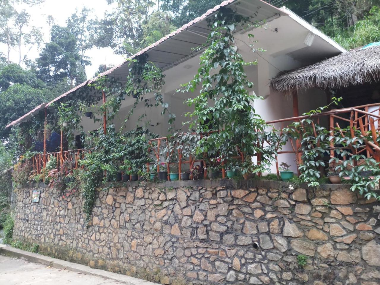 Guest house River House 3*