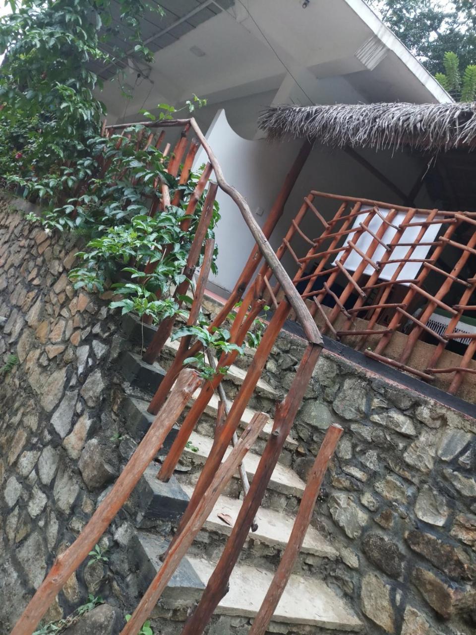 Guest house River House 3*