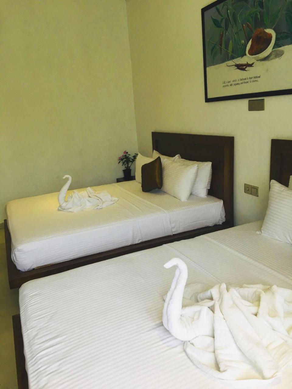 Spice Hotel 4*