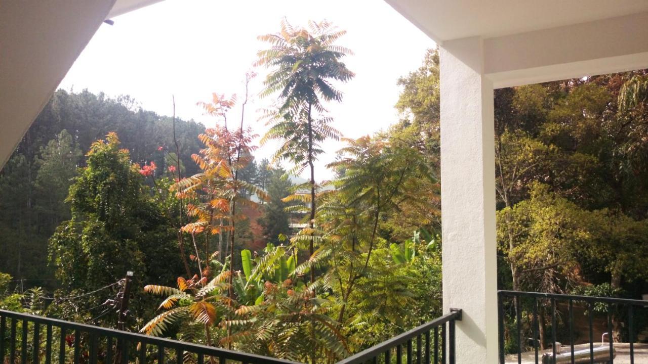 Hotel Misty Elegance - Ella.