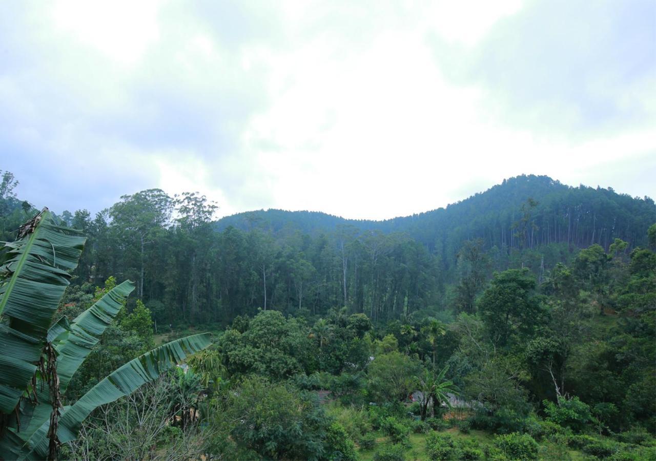 Silloam Holiday home *