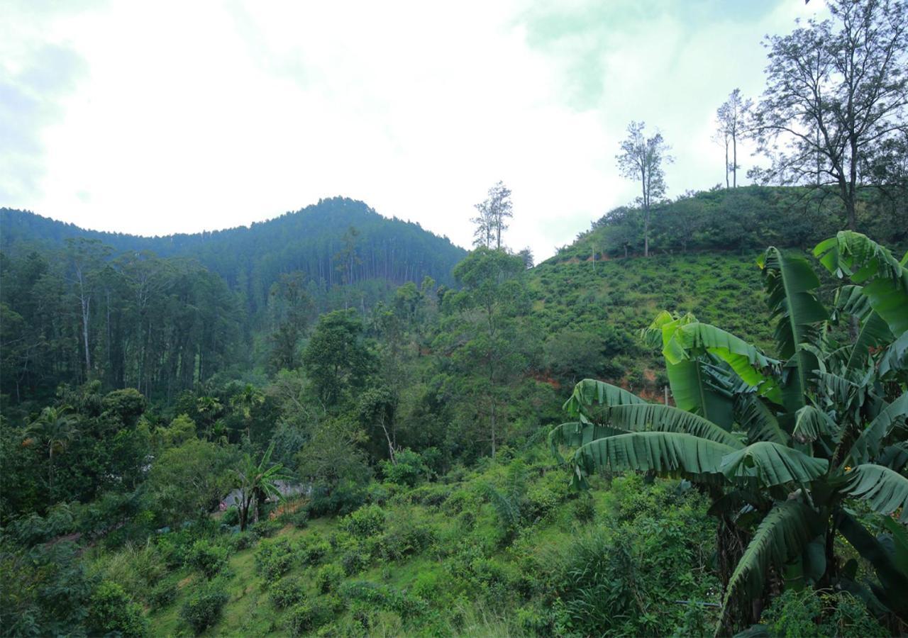 Silloam Ella
