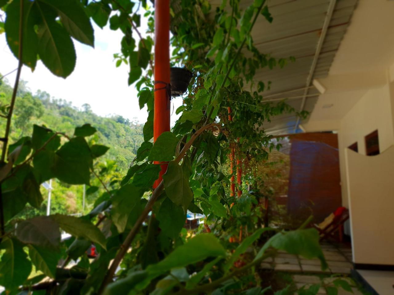 River House Guest house Ella