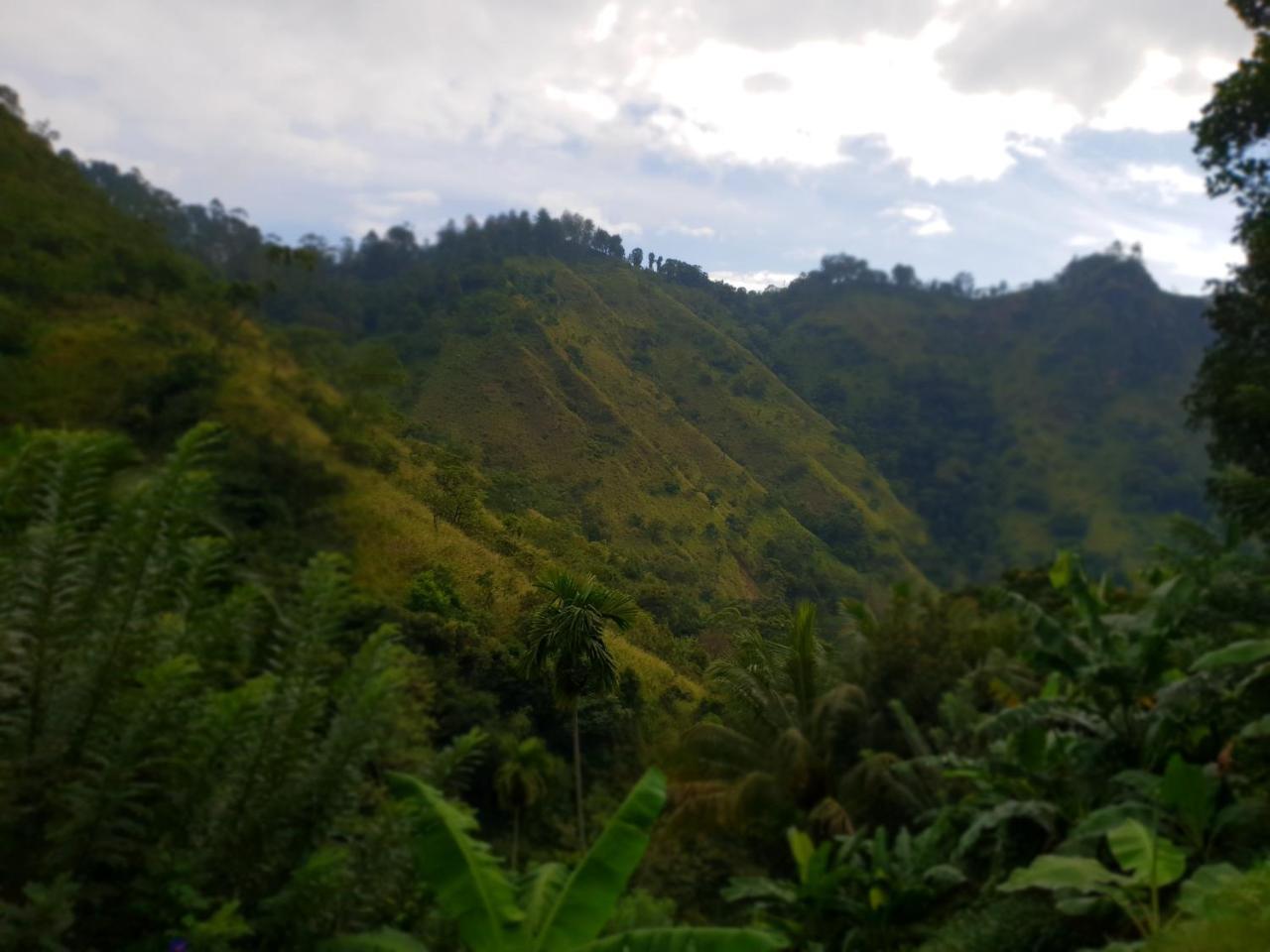 River House Guest house 3*