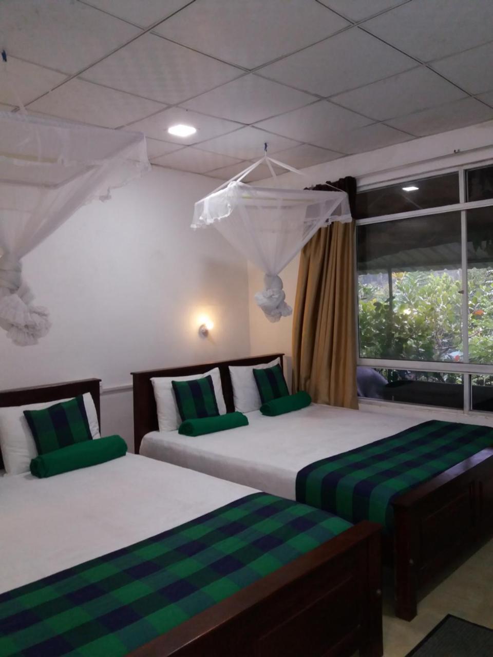 Guest house Ella Green Stay *