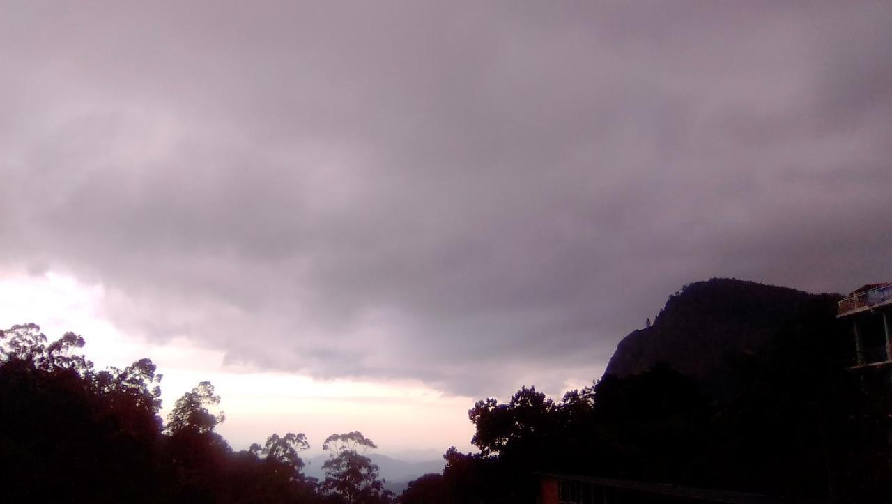View *