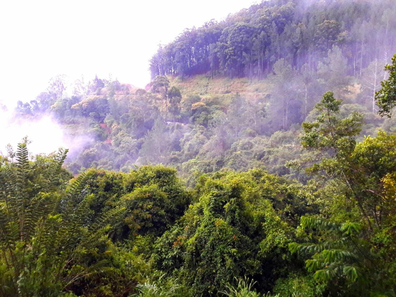 Paradise *