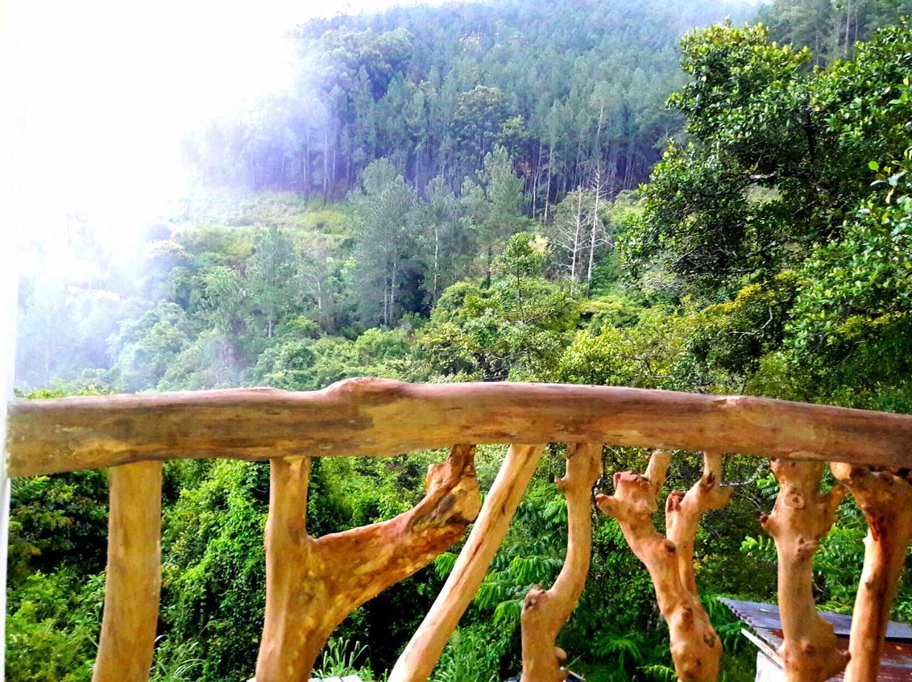 Paradise *