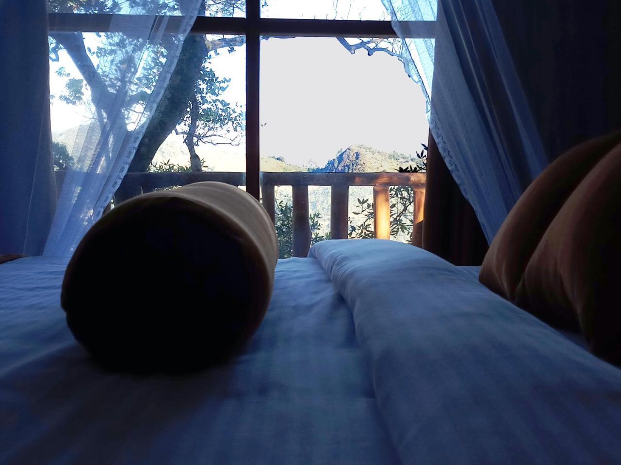 Bed & Breakfast Saffron Eco *