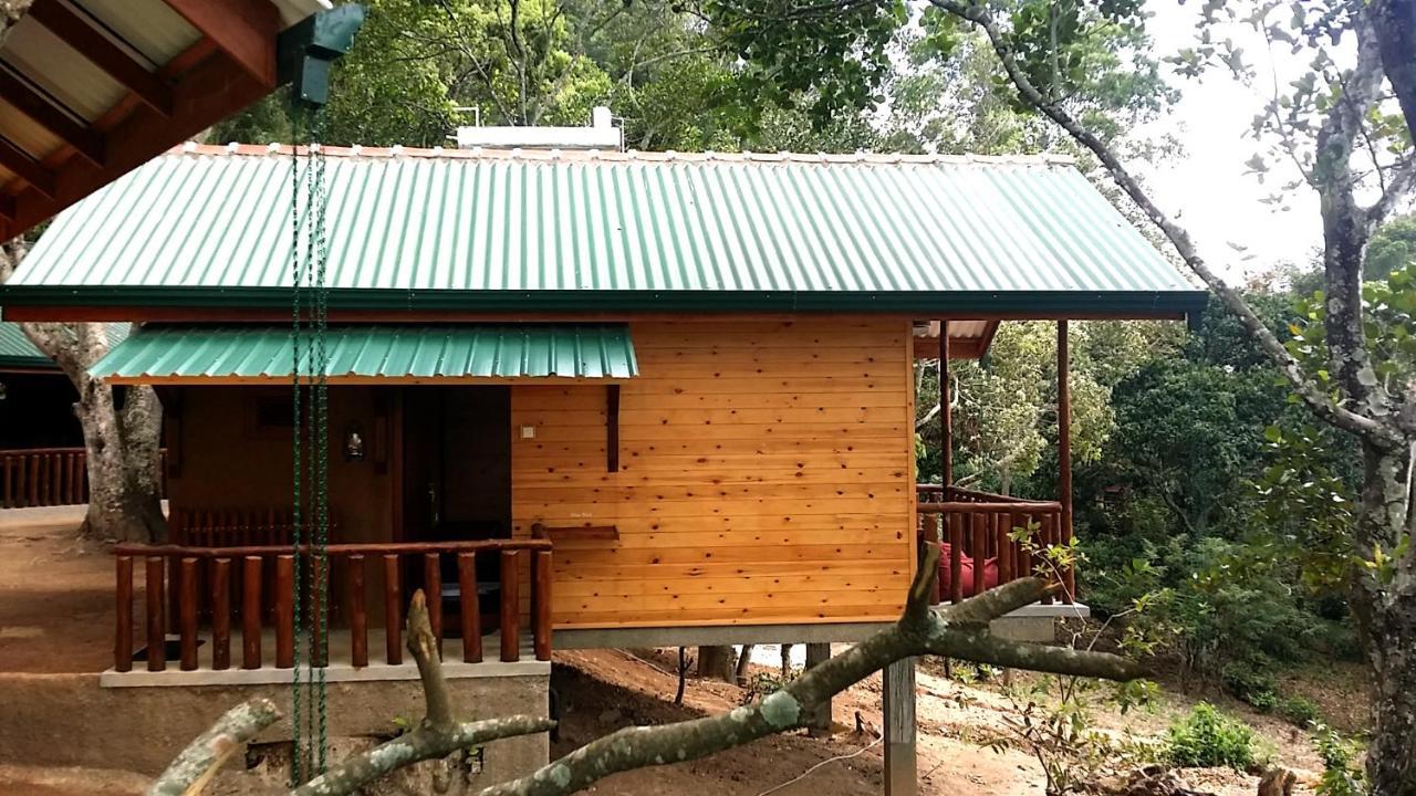 Bed & Breakfast Saffron Eco