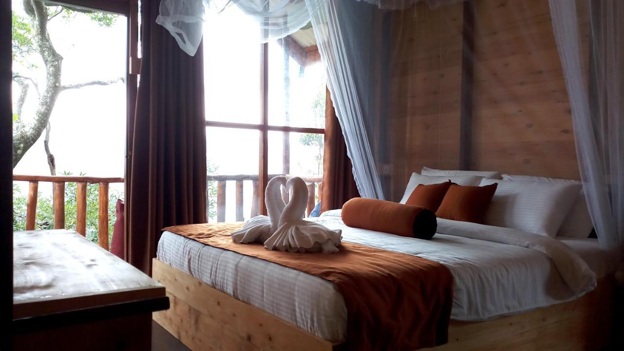 Saffron Eco Bed & Breakfast *