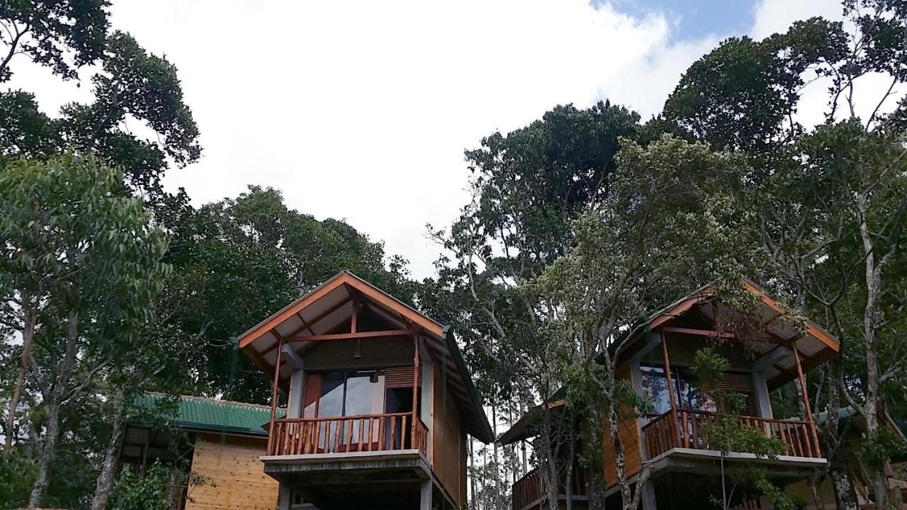 Bed & Breakfast Saffron Eco
