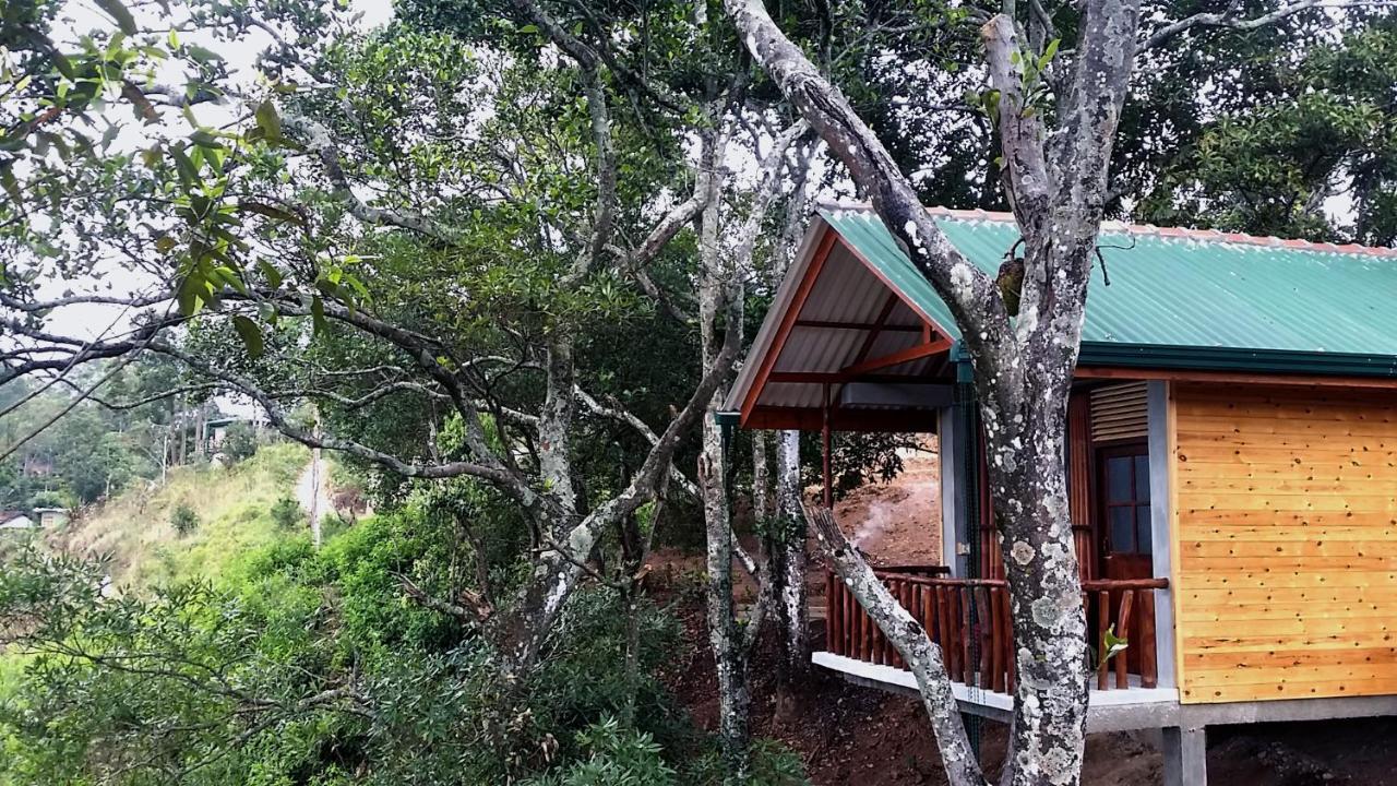 Bed & Breakfast Saffron Eco Ella