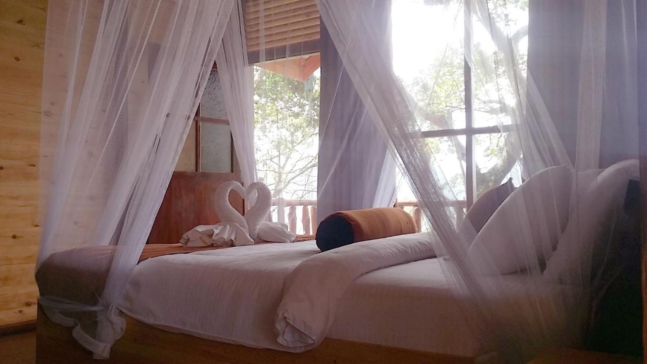 Saffron Eco Bed & Breakfast