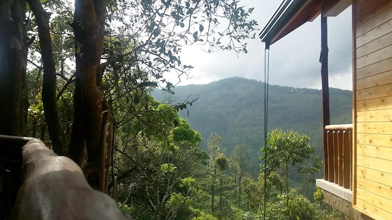 Bed & Breakfast Saffron Eco *