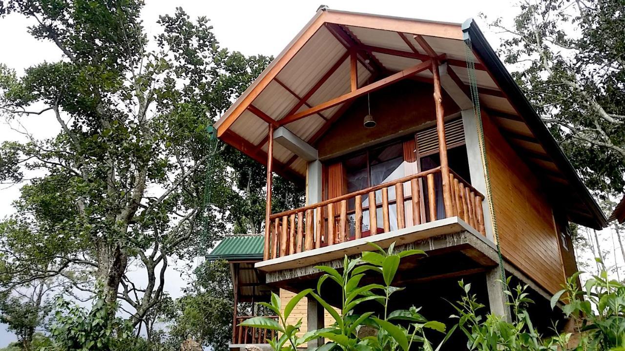 Saffron Eco Bed & Breakfast