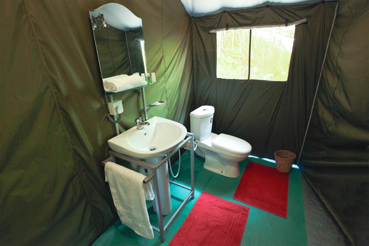 Luxury tent Glamping
