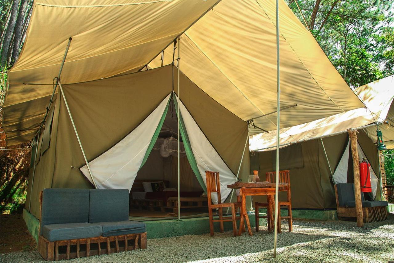 Glamping Ella