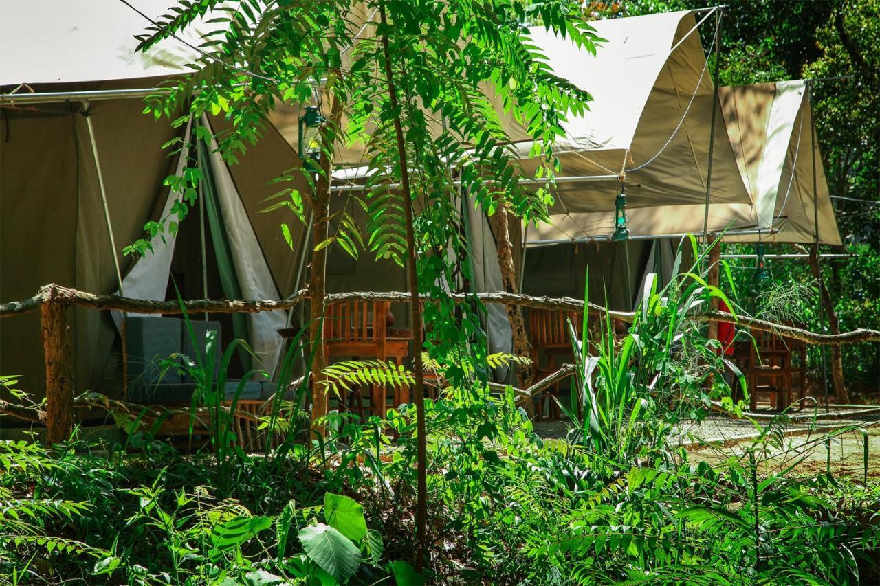 Glamping Luxury tent Ella