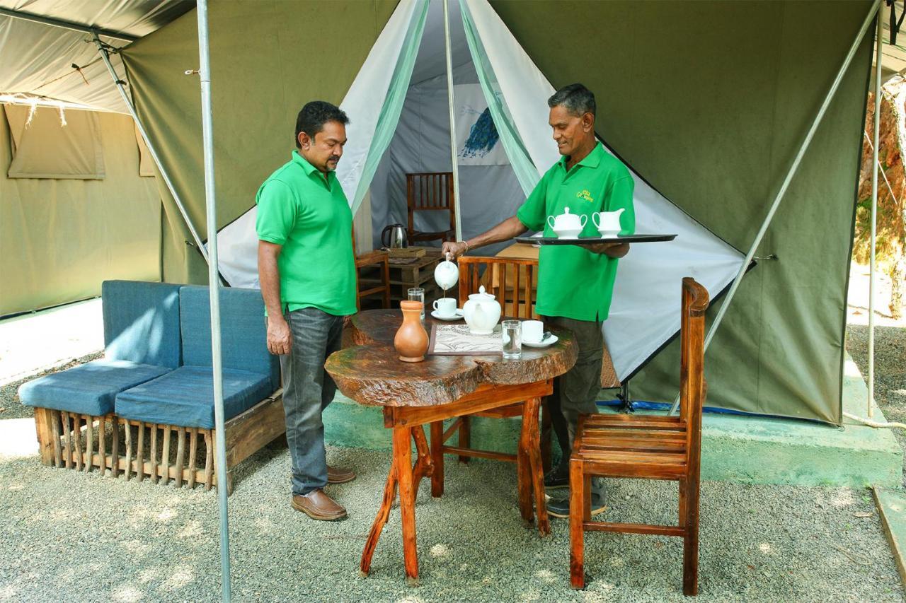 Luxury tent Glamping 3*