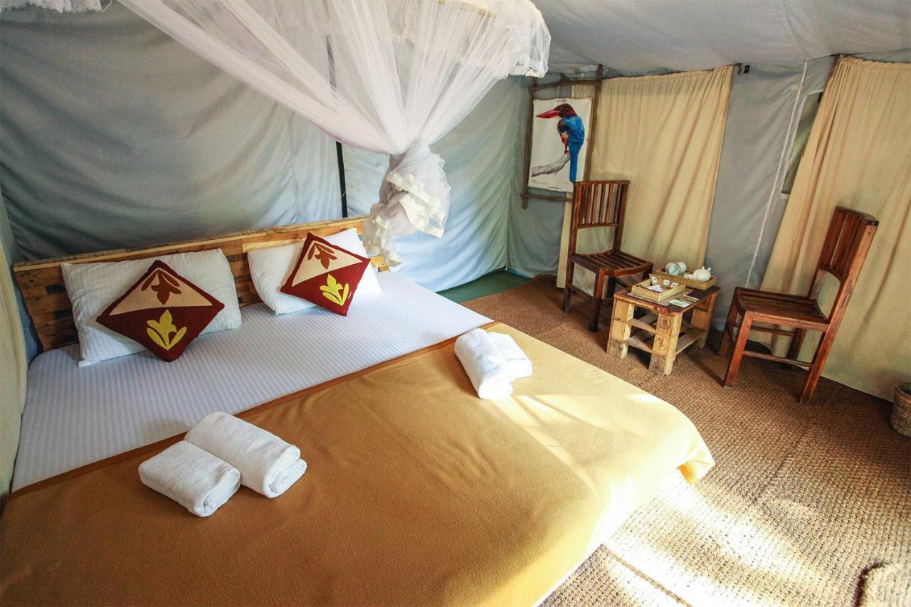 Luxury tent Glamping Ella