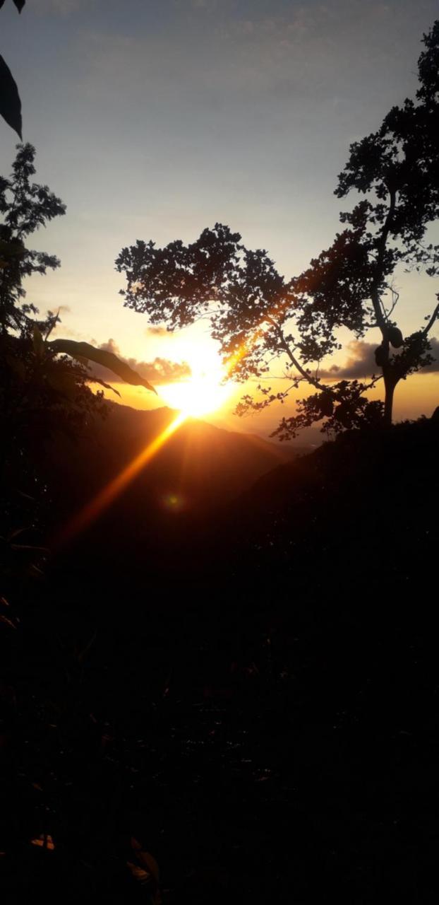 Saveen View * Ella