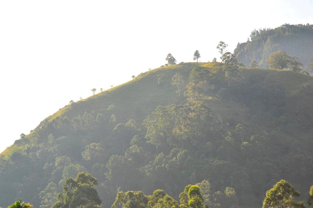 Homestay Rose Dale Ella