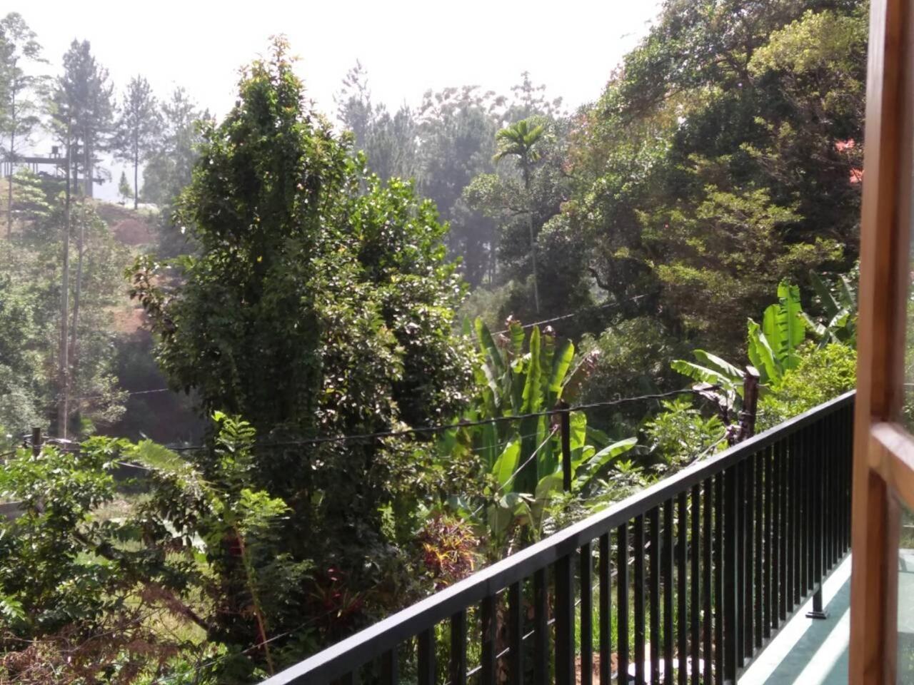 Hotel Misty Elegance - Ella. Ella