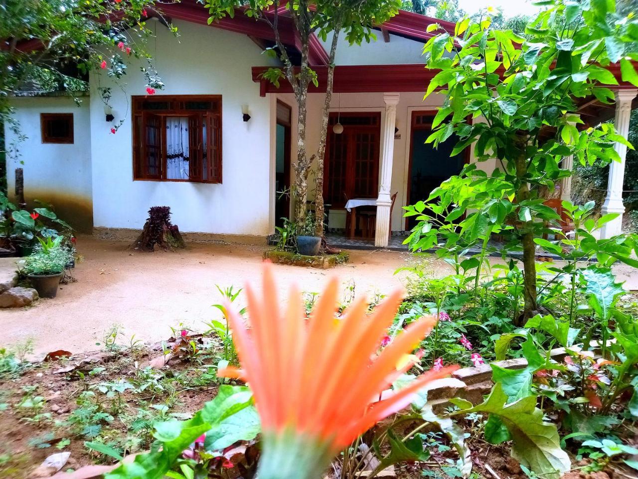 Jungle * Ella