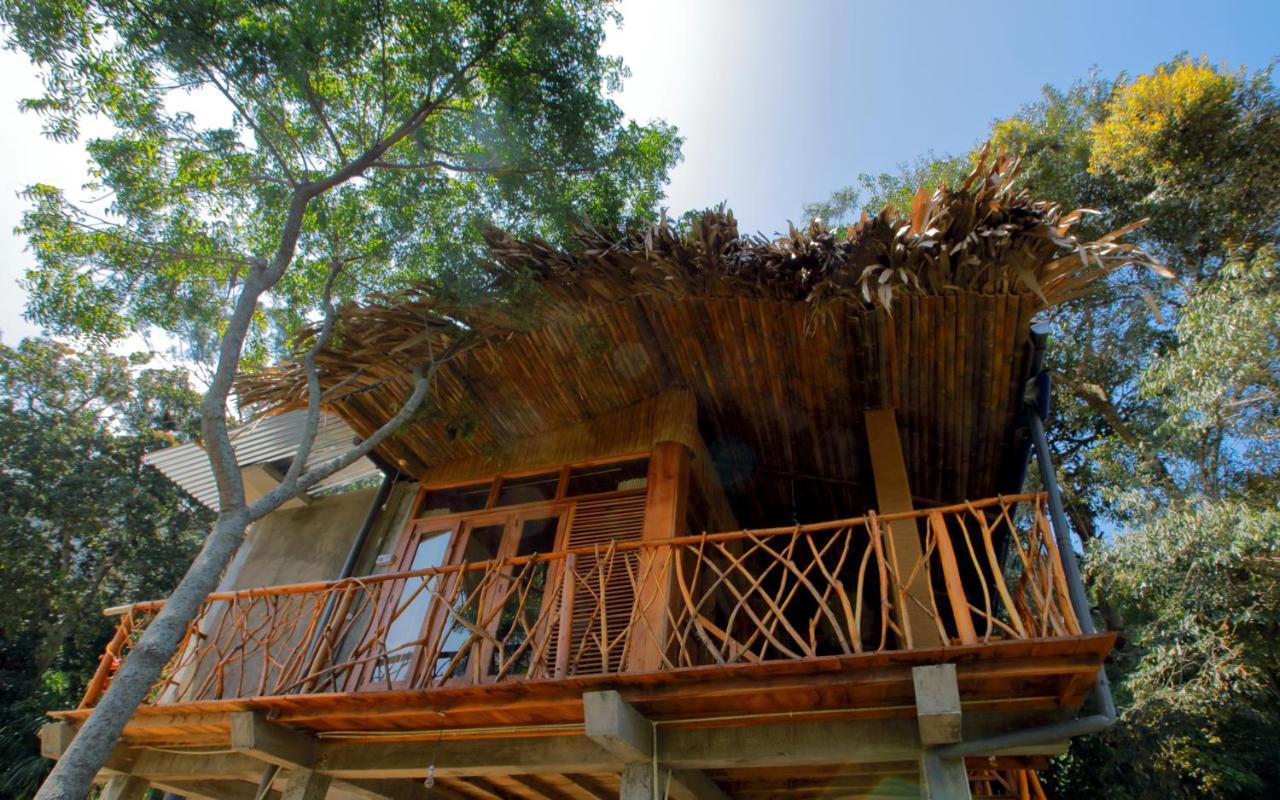 The Winsome & Tree House *