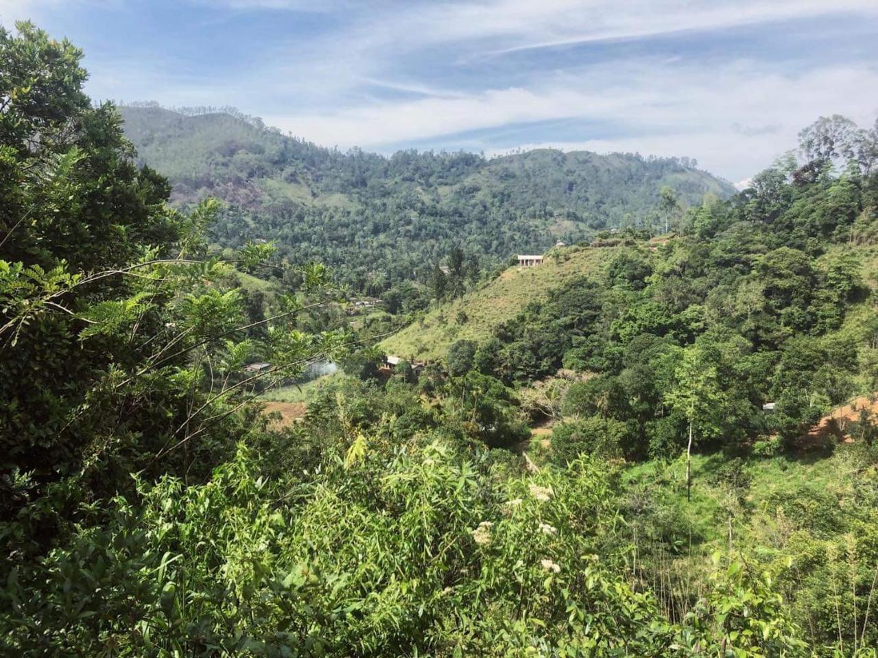 Lushy Homestay