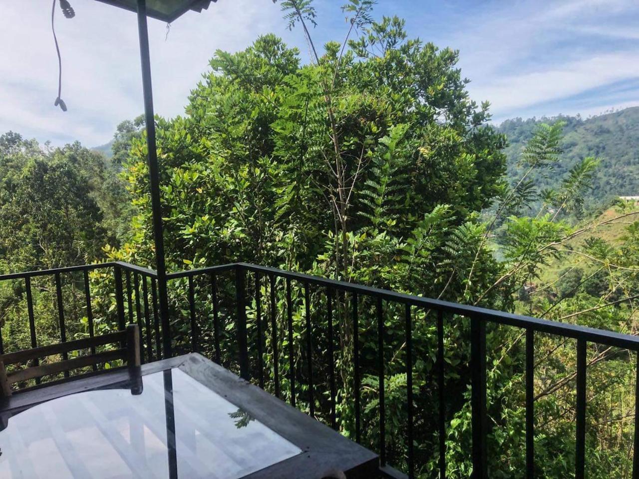 Lushy Homestay
