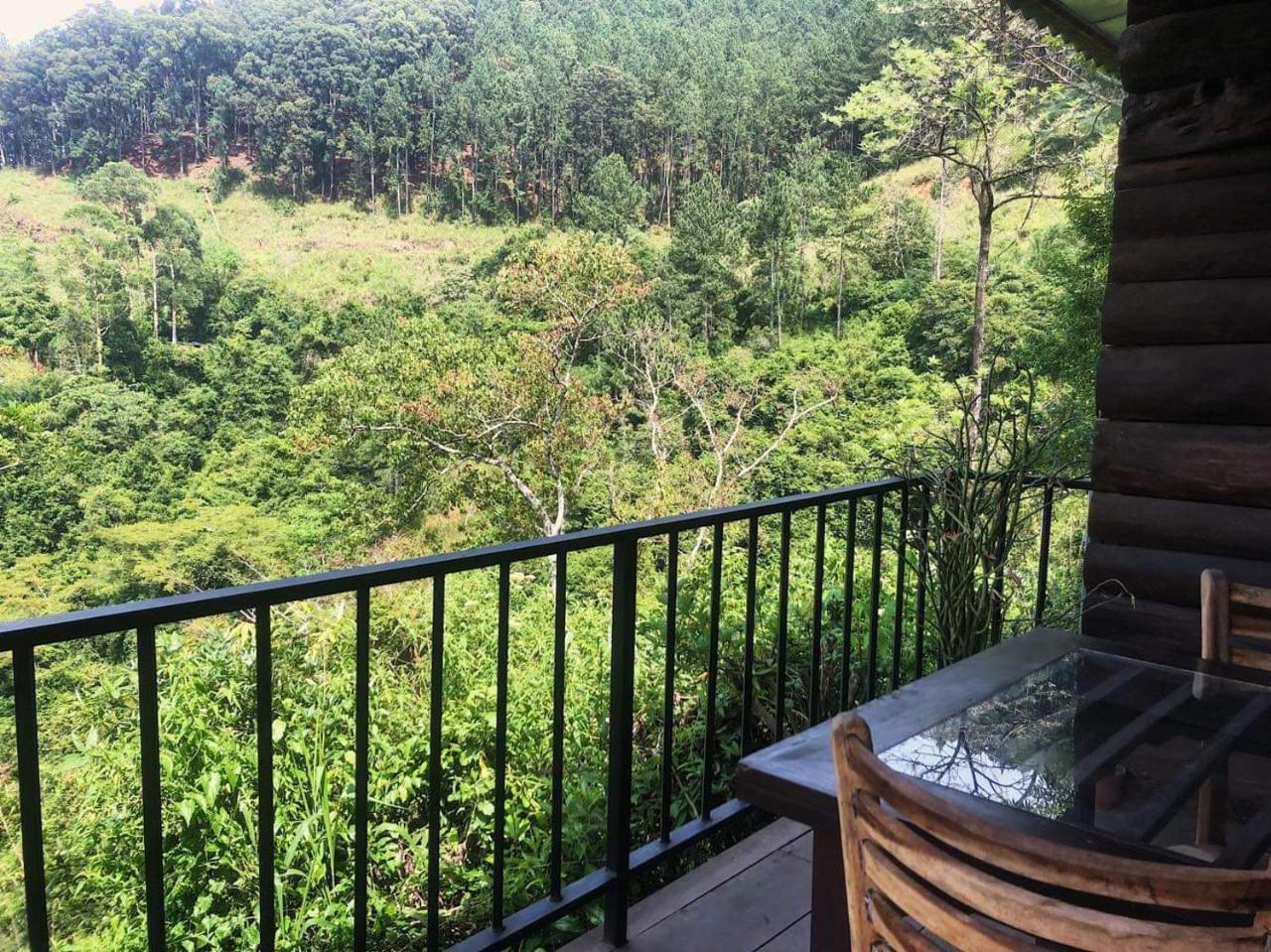 Homestay Lushy