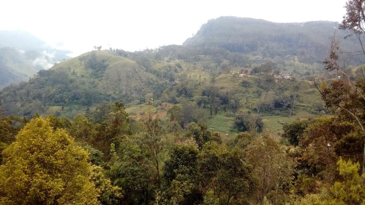 Racy Nature Villa