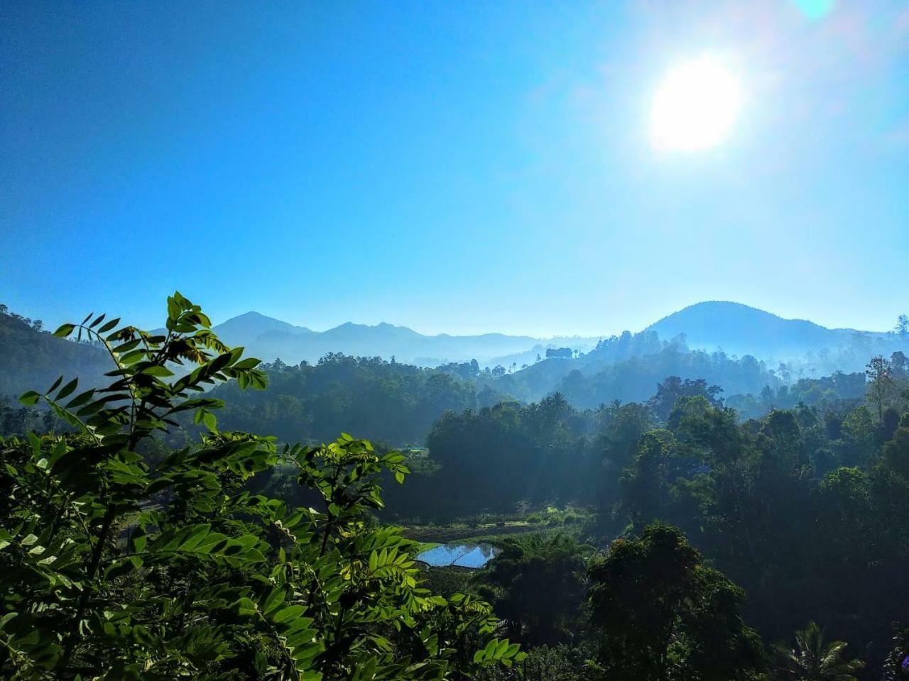 Paramount Homestay
