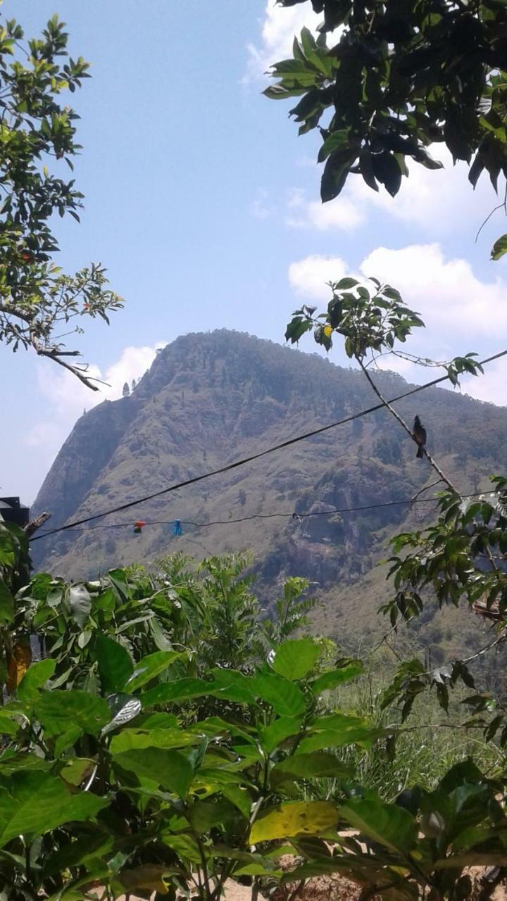 Jaye Homestay