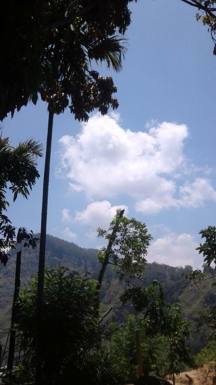 Homestay Jaye Ella