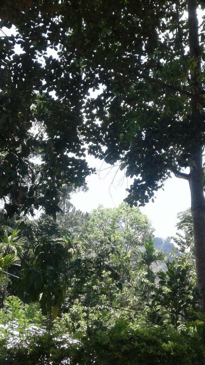 Jaye Homestay