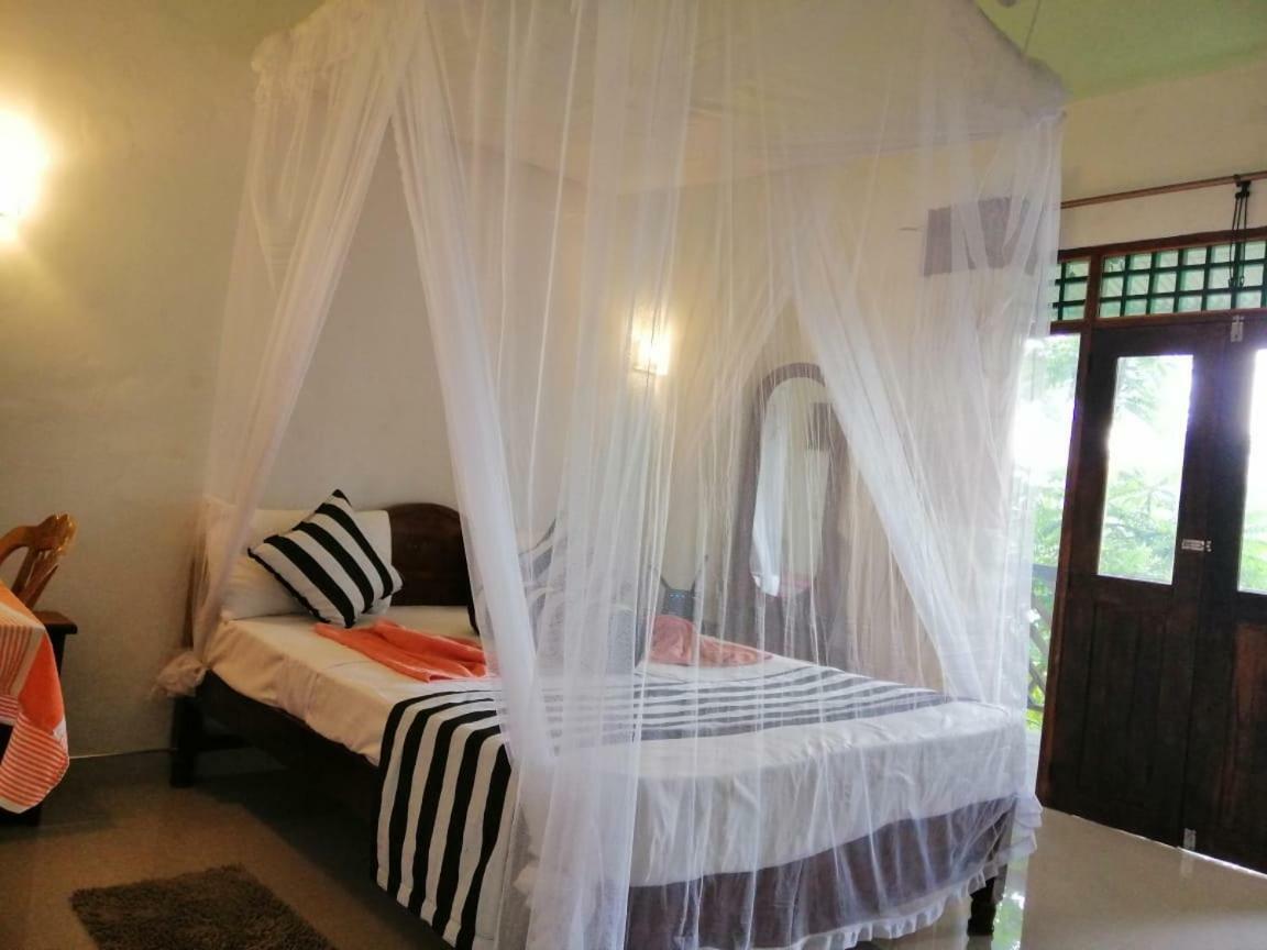 Homestay New Red Rose *