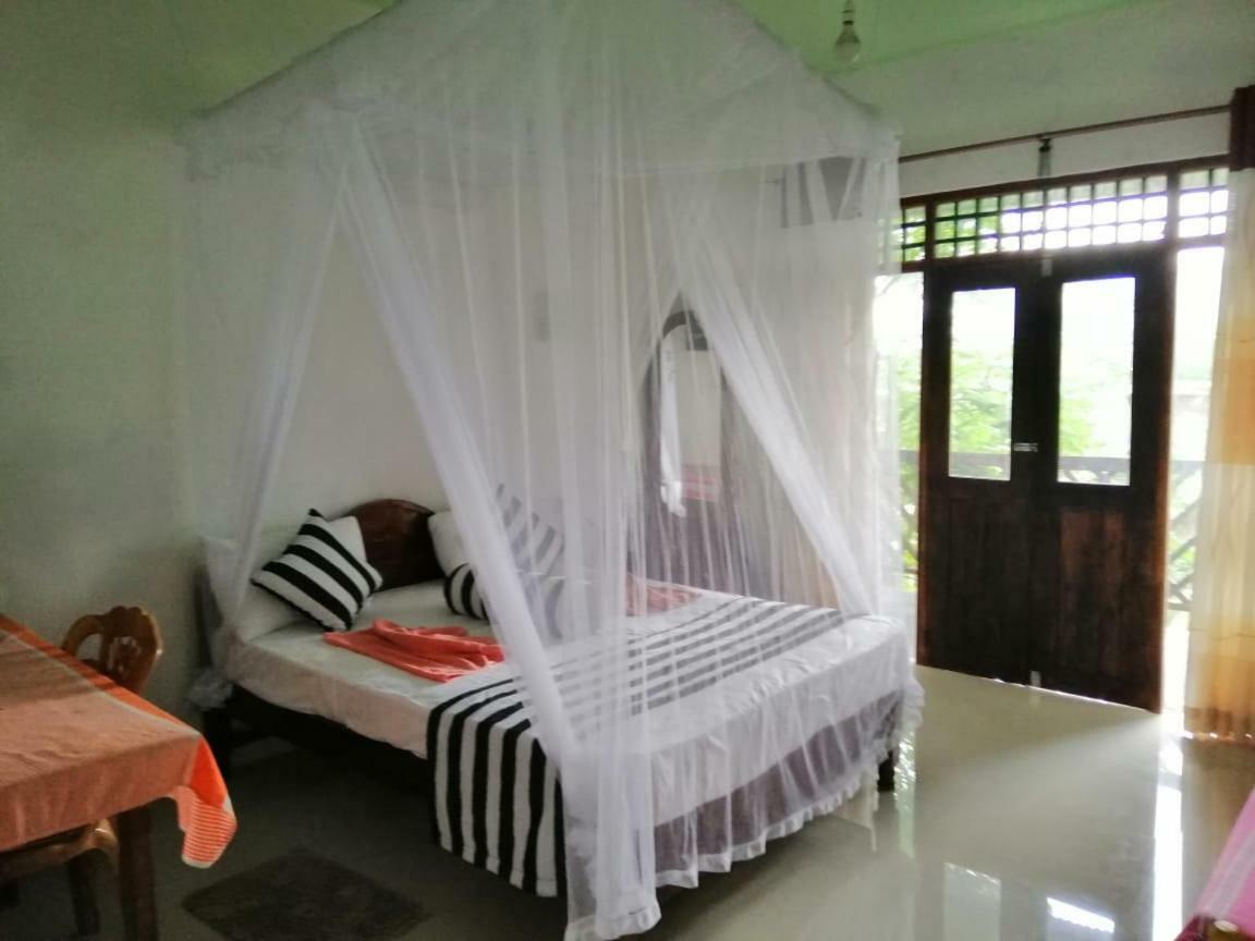Homestay New Red Rose *