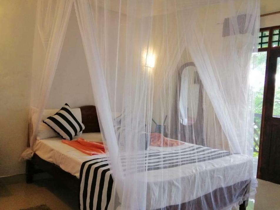 New Red Rose Homestay
