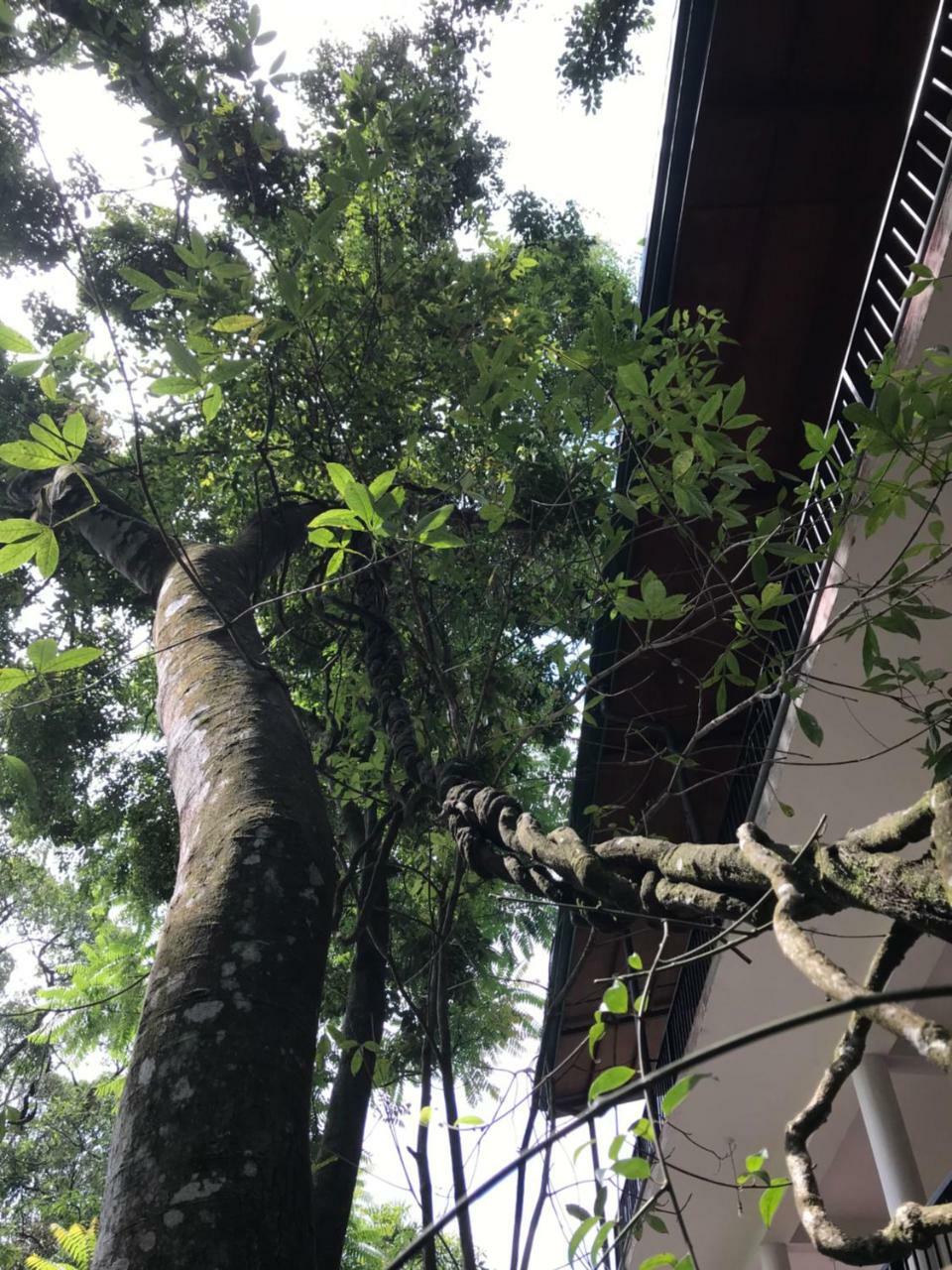 Samadhi Nature
