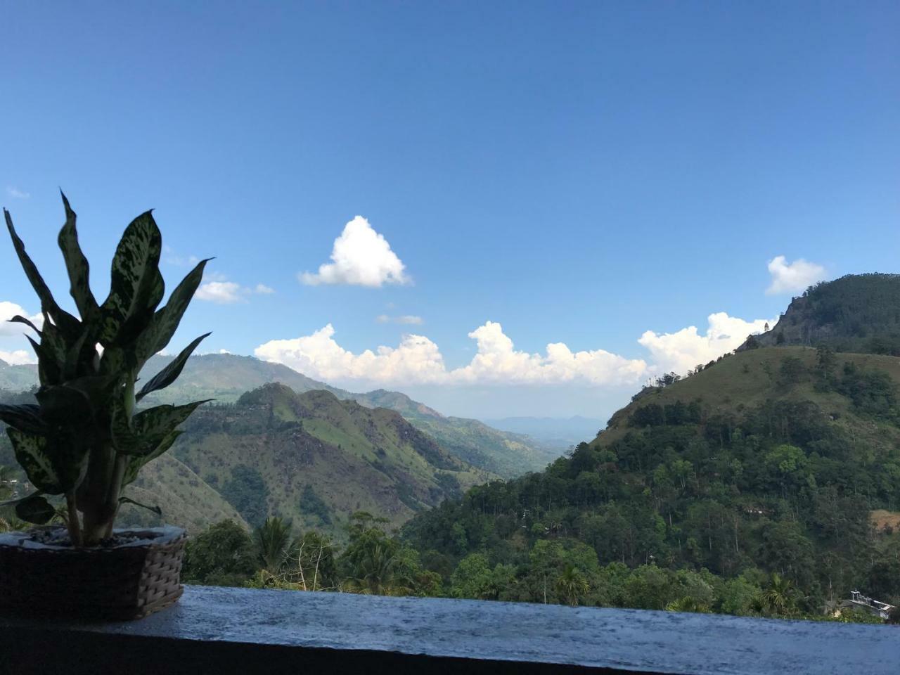 Hide View * Ella