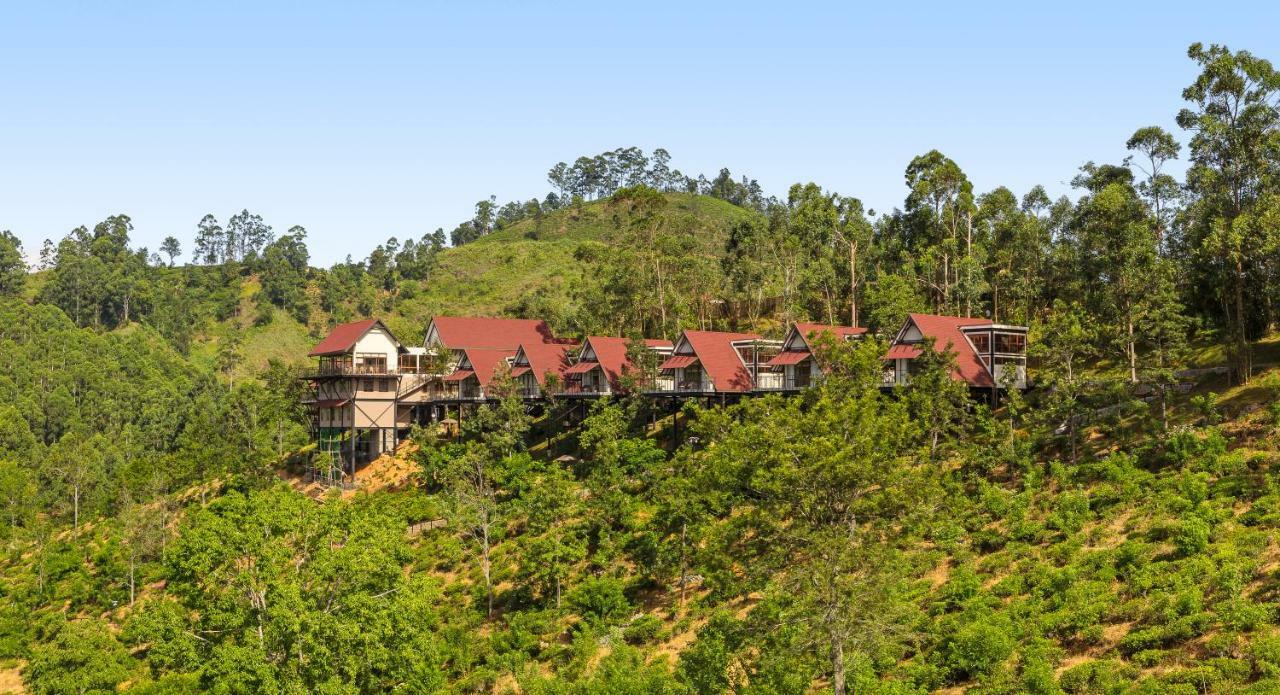 Anasa Wellness 5*