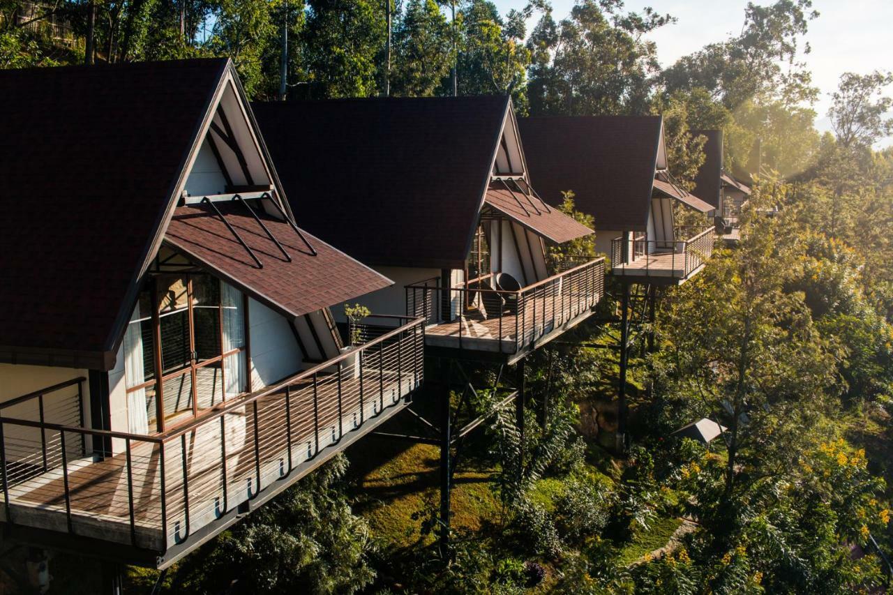 Anasa Wellness Resort 5*